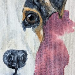 Pet Portraits A4 25 Pet Portraits A4 25
