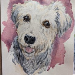 Pet Portraits A4 6 Pet Portraits A4 6