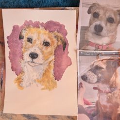 Pet Portraits A4 5 Pet Portraits A4 5