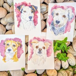 Pet Portraits A4
