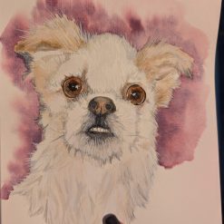 Pet Portraits A4 3 Pet Portraits A4 3