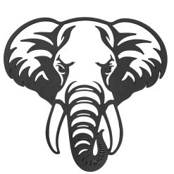 Elephant 1