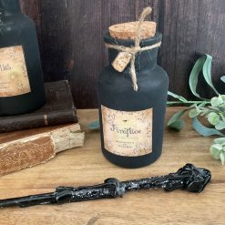 Firefly Light Up Jars