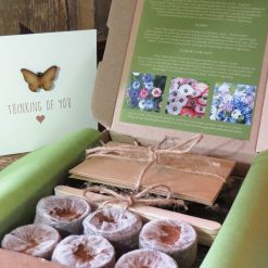 Remembrance Seeds Gift Box with Handmade Sympathy Card