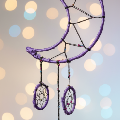Galaxy moon dreamcatcher
