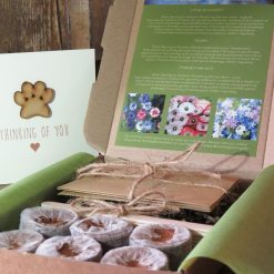 Pet Remembrance Seeds Gift Box with Handmade Sympathy Card