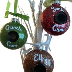 Santa Cam