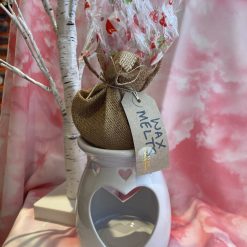 Wax melts & burner