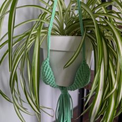 Macrame plant hanger