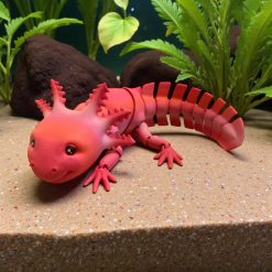 Axolotl (XL)