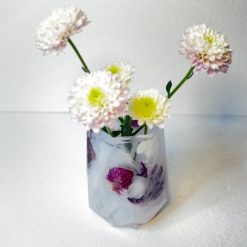 Jules pot 5