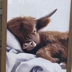 Highland cow framed picture “Holding toilet roll”