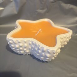 Handmade candle and starfish pot