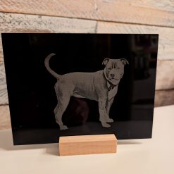 Acrylic Personalised Desk Picture 1