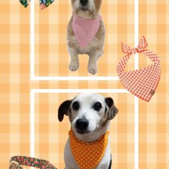 Dog scrunchie bandana 2 Dog scrunchie bandana 2
