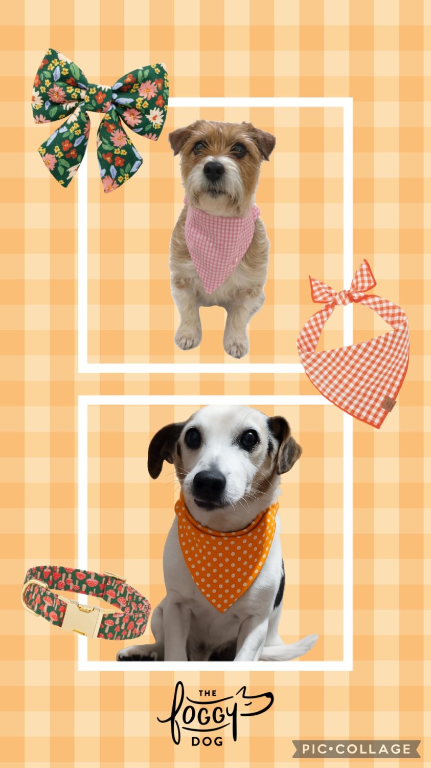 Dog scrunchie bandana Dog scrunchie bandana