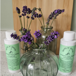 Concentrated Disinfectant Floor Cleaner