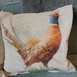A Pair of scatter cushions