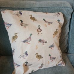Scatter cushion
