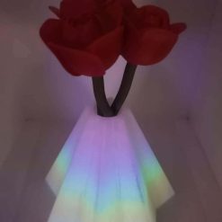 Luxury Forever Rose display with glow in the dark vase 6 Luxury Forever Rose display with glow in the dark vase 6
