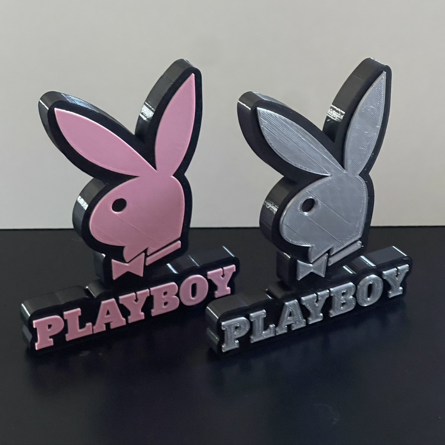 3D Playboy Bunny Emblem Logo Plaque Pink Ideal Autistic Autism ADHD Sensory Gift Silver 3D Playboy Bunny Emblem Logo Plaque Pink Ideal Autistic Autism ADHD Sensory Gift Silver
