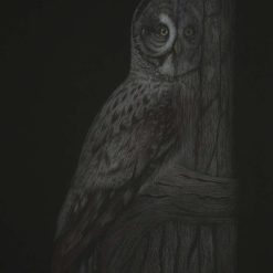 Red Squirrel Original Drawing