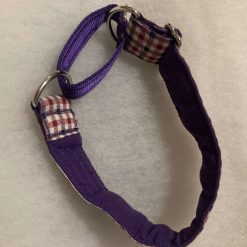 Small/medium martingale collar 5