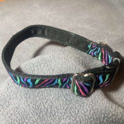 Multi zebra print collar 2 Multi zebra print collar 2