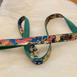 25mm width collar and lead set