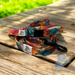 Bubbles adjustable collar and Lead set