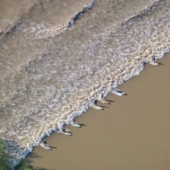 Severn Bore 2 Severn Bore 2