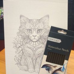 Cat Canvas To Colour
