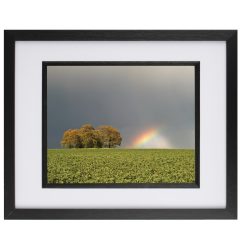 Storm Bow