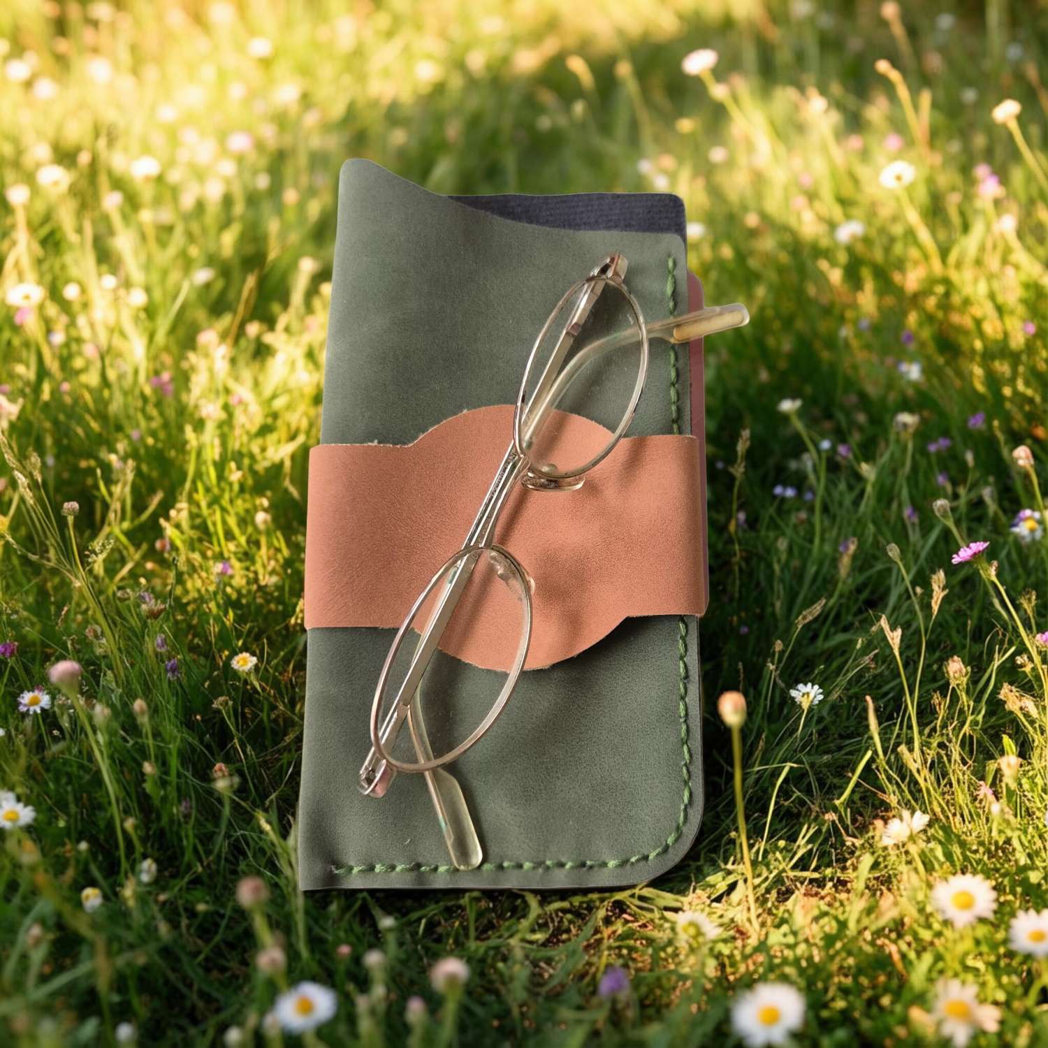 Glasses Case Glasses Case