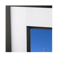 Ambassador Renaissance 2