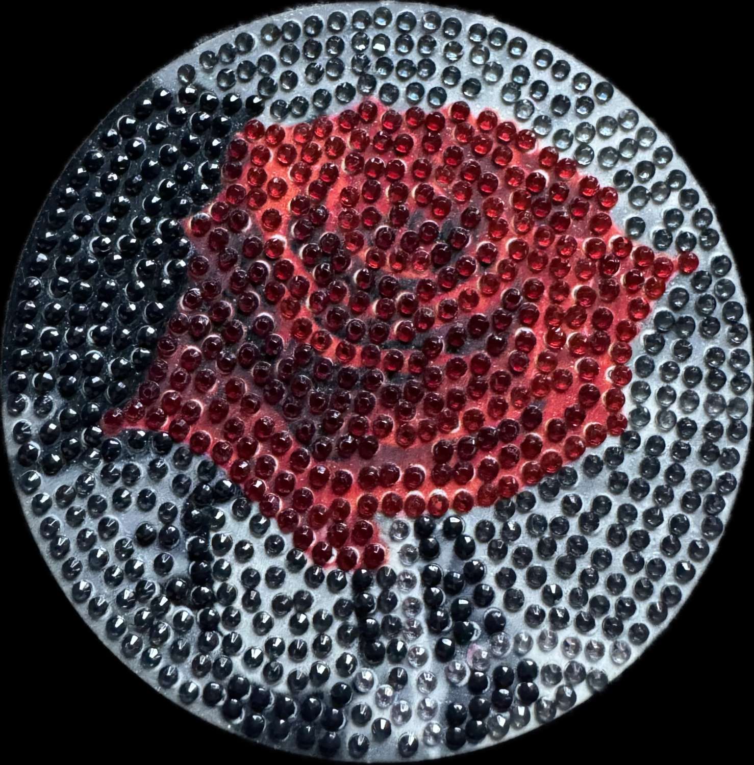 Rose Coaster Rose Coaster