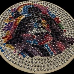 Darth Vader coaster