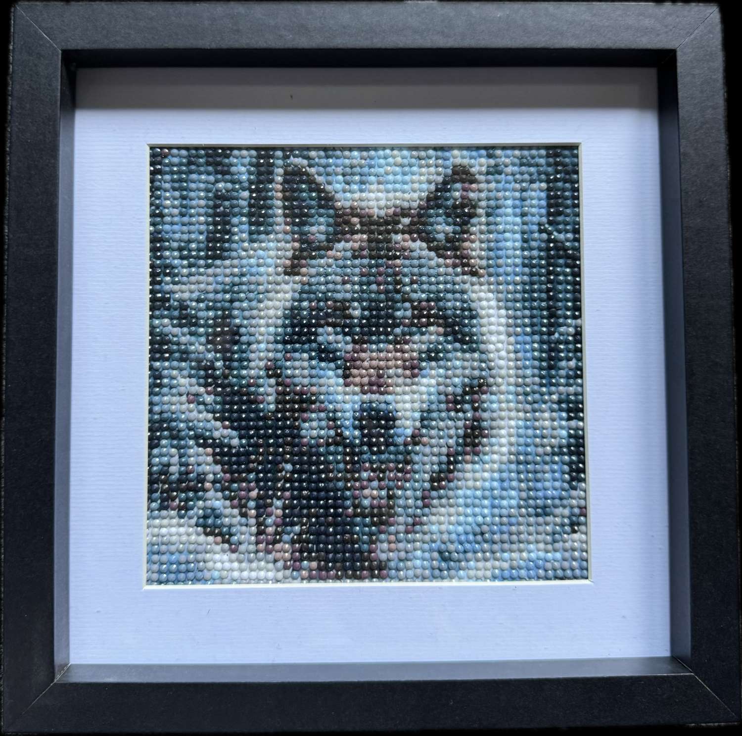 Wolf picture Wolf picture