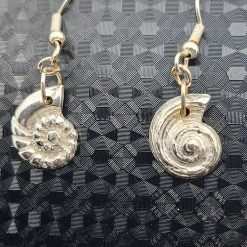 Shell Earrings