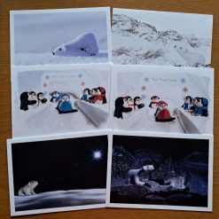 Polar Bear  & Penguins Cards