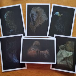 Wild Woolley Friends Cards 1