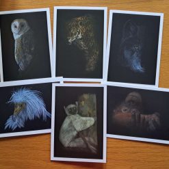 Wild Woolley Friends Cards 1