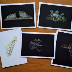 Frog Cards