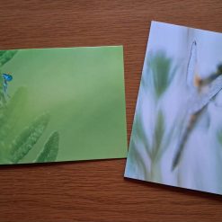 Odonata Cards
