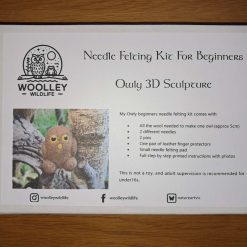 Beginners Needle Felting Kit - Owly