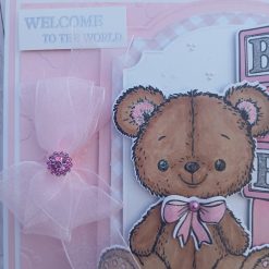 Welcome to the World - Little One - Pink - Teddy, building blocks & organza bow 2