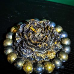 Black & Gold Rose