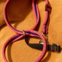 Purple spotty cat collar