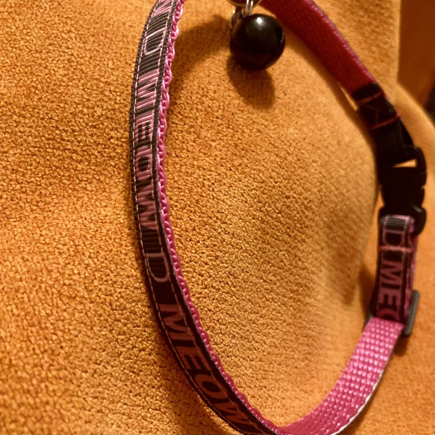 Purple spotty cat collar Purple spotty cat collar