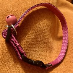 Purple spotty cat collar 1 Purple spotty cat collar 1
